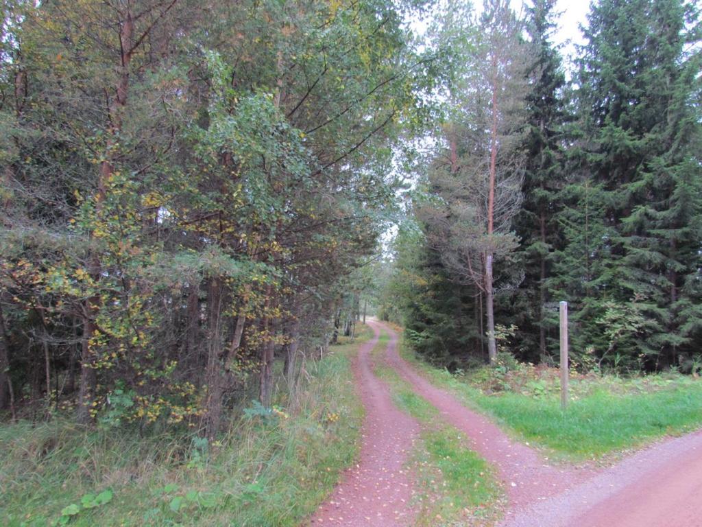 att en skärm med träd och buskar mot havet lämnas som skydd mot vinden undvika belysning av stigar och vägar under fladdermössens aktiva tid den 15.5 30.