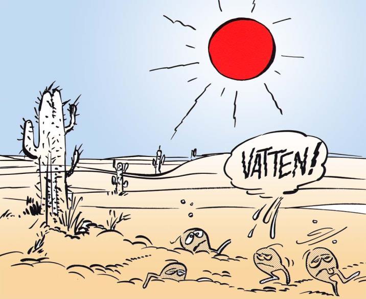 Tillväxten påverkas av Vatten Näring Temperatur Syrehalt ph