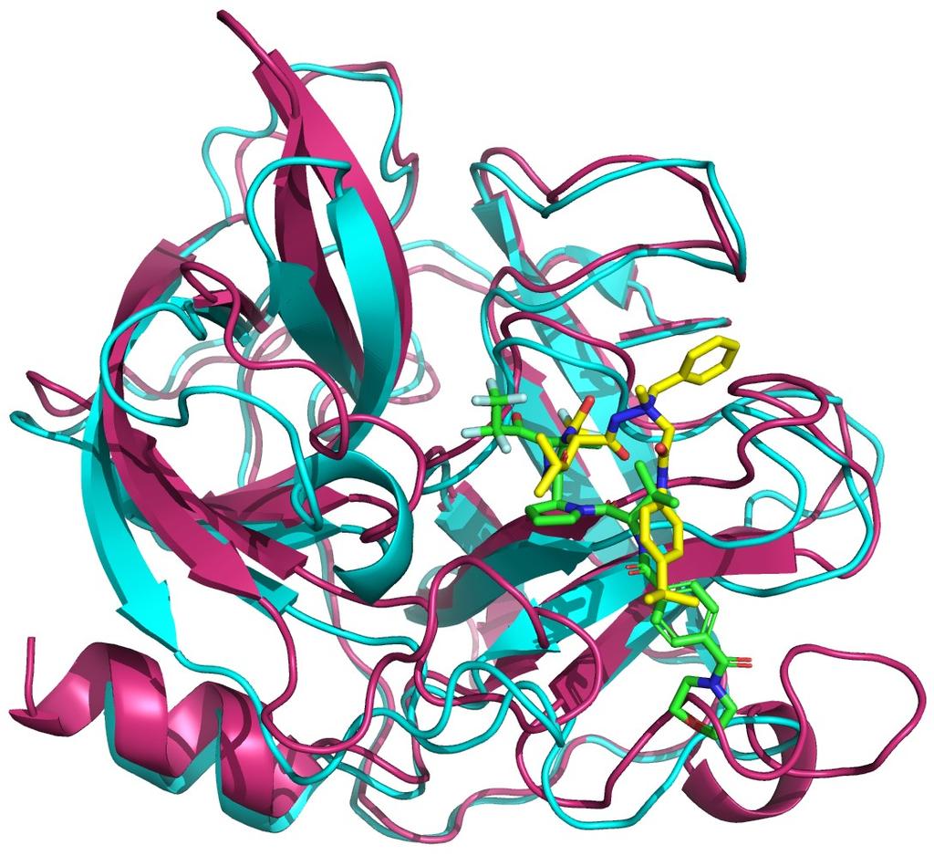 Results & Discussion WAC The protein column was run twice to acquire a higher statistical precision on how well the tripeptides interact with the protein.
