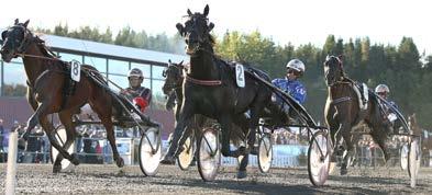 H.M. S RACINGFILIP 9 *6,4 M 7, K, AK 800 6,br. v.