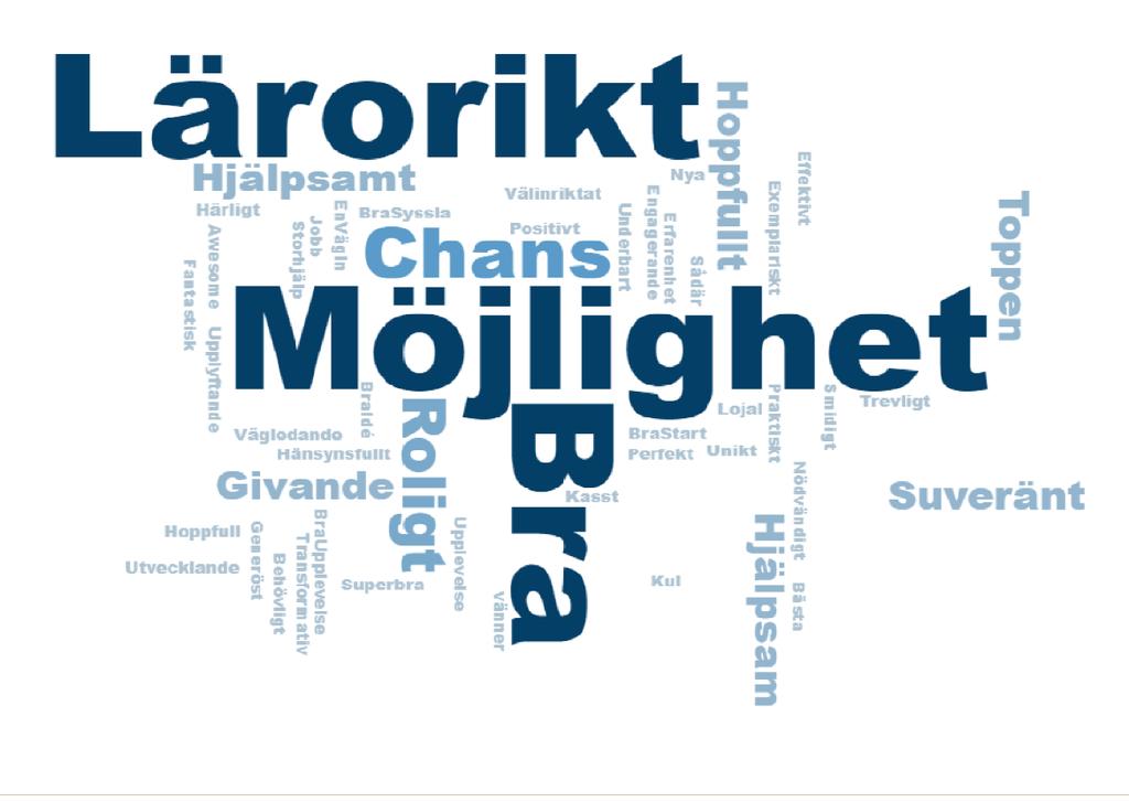 VGR Analys 2019:25 Koncernkontoret 2019-06-12 Utvärdering
