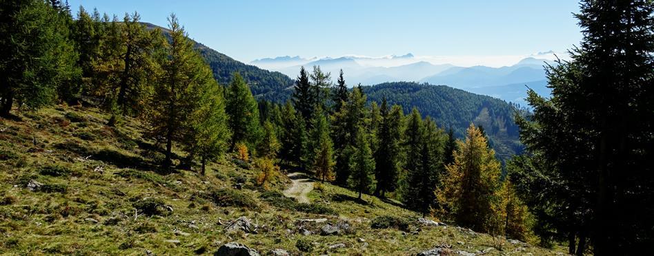 Alpe-Adria Trail, Bad Kleinkirchheim - Baumgartnerhöhe, 6 nätter 1(8) Vandra i Österrike Alpe-Adria Trail, 6 nätter Bad Kleinkirchheim - Baumgartnerhöhe, 5 vandringsdagar Vandringsleden Alpe-Adria