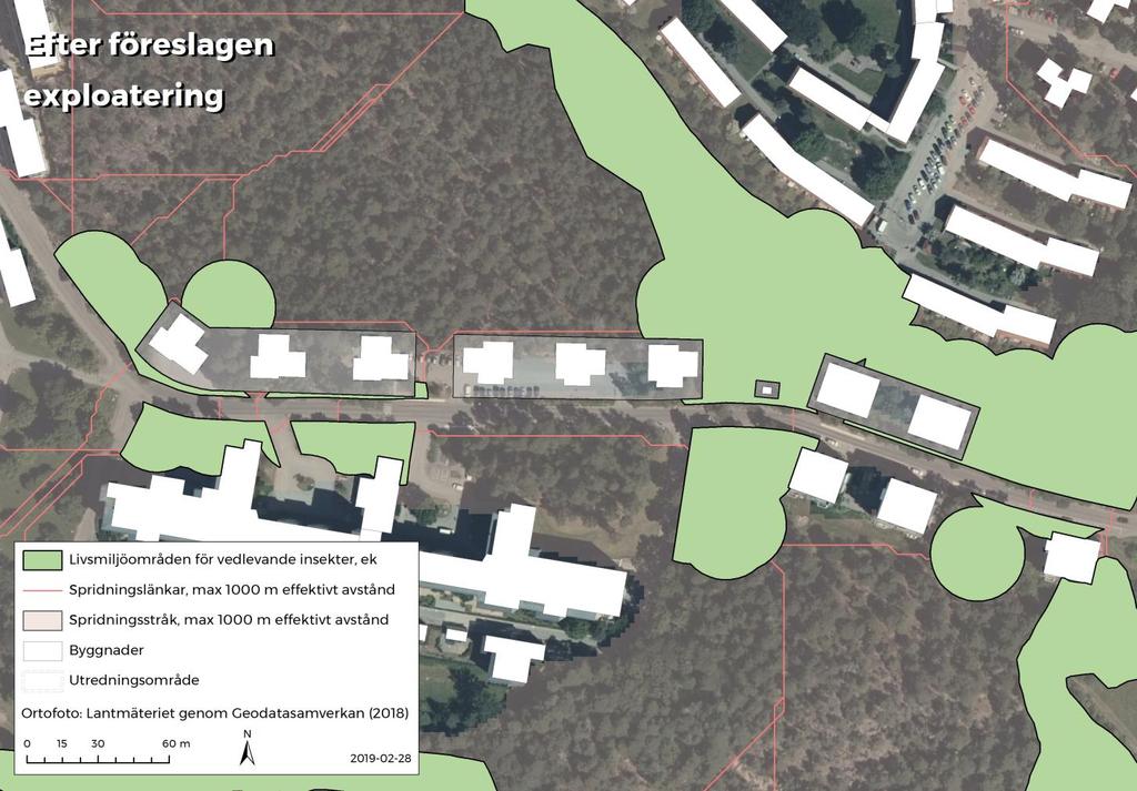 Tolkning och rekommendationer Artefakter i data Det är viktigt att ta hänsyn till att ekologiska konnektivitetsanalyser är en modellering av olika antaganden och data som ska simulera hur olika arter