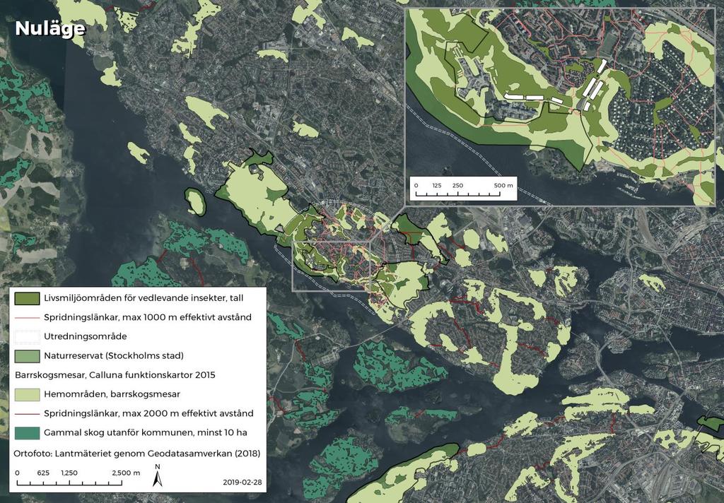 Tallnätverket och gamla barrskogsmiljöer Figur 15. Nuläge för tallnätverket i kombination med barrskogsnätverket från Calluna (2015). I högra hörnet visas även exploateringsytorna.