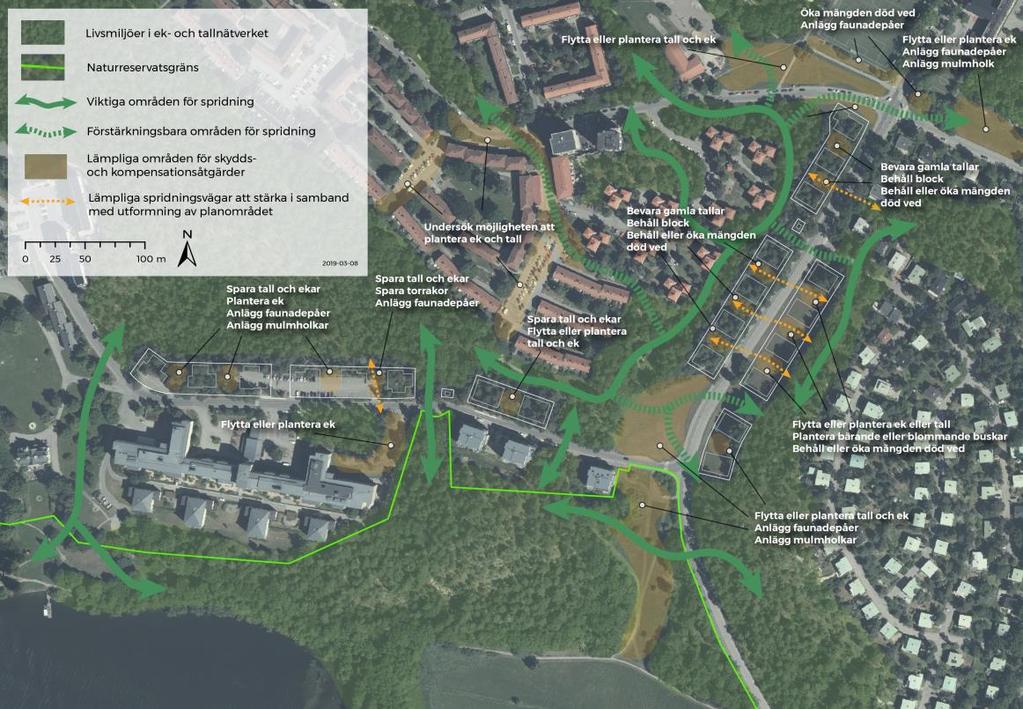 Förslag till åtgärder De ändringar som gjorts i planarbetet sedan den föregående utredningen av konnektivitet i ek- och tallnätverket anses i nuläget vara mer anpassade och utformade efter den gröna