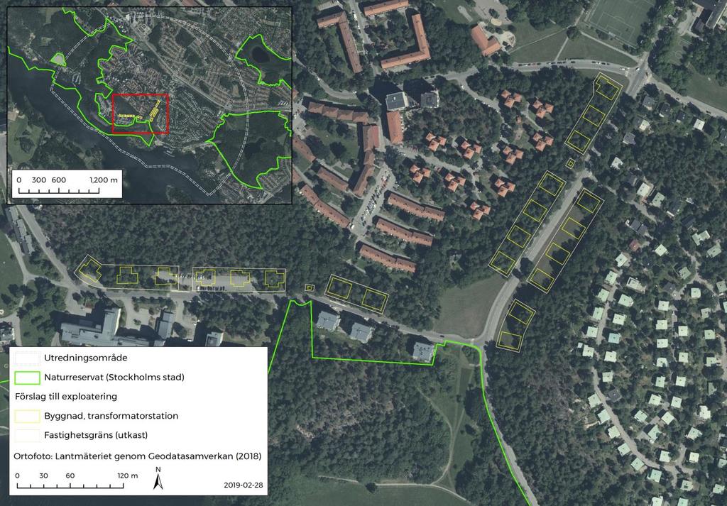 Bakgrund WSP har tidigare genomfört konnektivitetsanalyser för ek- och tallnätverket vid Blackeberg på uppdrag av Exploateringskontoret i Stockholms stad.