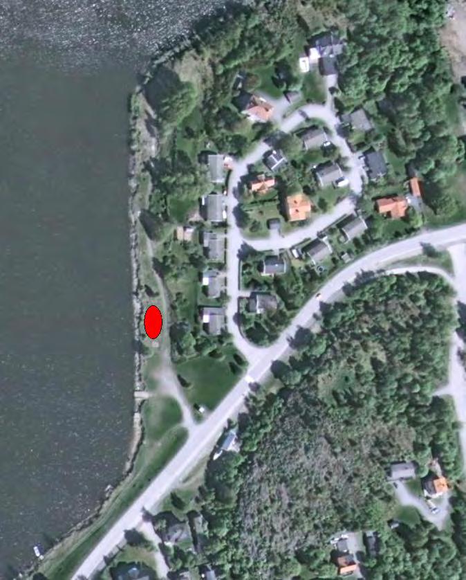 Skörvnöpparn, Umeå Årgång 4 (2012), häfte 1: 1-6 Barlastbaggar och knäppt i Holmsund ROGER B.