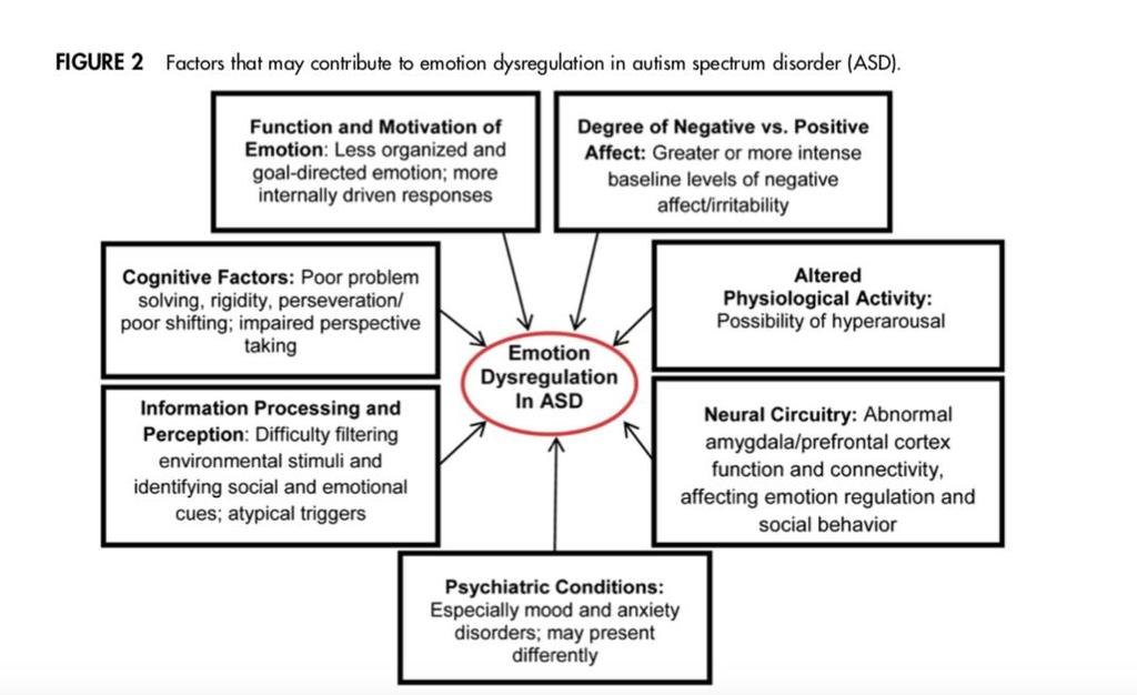 Känslomässig dysreglering hos ASD Mazefsky et al.