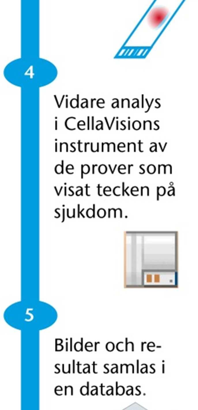 CellaVisions analysprodukter rationaliserar manuellt laboratoriearbete, säkrar och stödjer effektiva arbetsflöden och kompetensutveckling inom och mellan sjukhus.