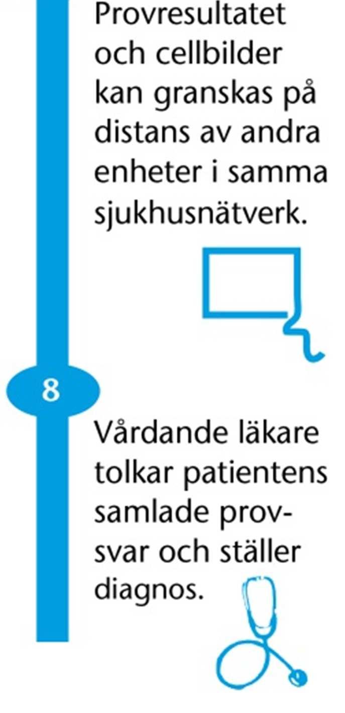 Utan CellaVisions instrument måste den göras manuellt i ett mikroskop. Vad driver tillväxten?