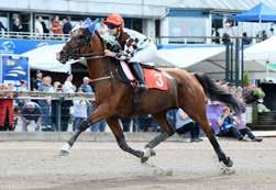 OLÅRET VINNARE LÖRDAG AUGUTI 0 Lopp. Åby tora Kallblodspris Rekordjakten Månprinsen A.M. Gunnar Melander Tid:,0 Odds:,.