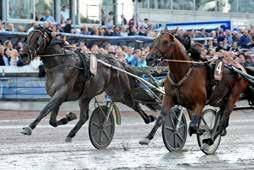 Asfalttjänst s Lopp Klass II, inal Adiago Trot Per Lennartsson Tid:,0 Odds:,. Lopp. V.