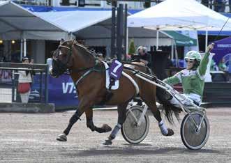 h e Ernst Ronaldo Cloetta e Niklas II Uppf: Gustavsson Hannah, Gagnef Äg: Odder Maja A., Blentarp vart, rosa/lj.lila bröstb, revär; vit Maja A. Odder, isab.