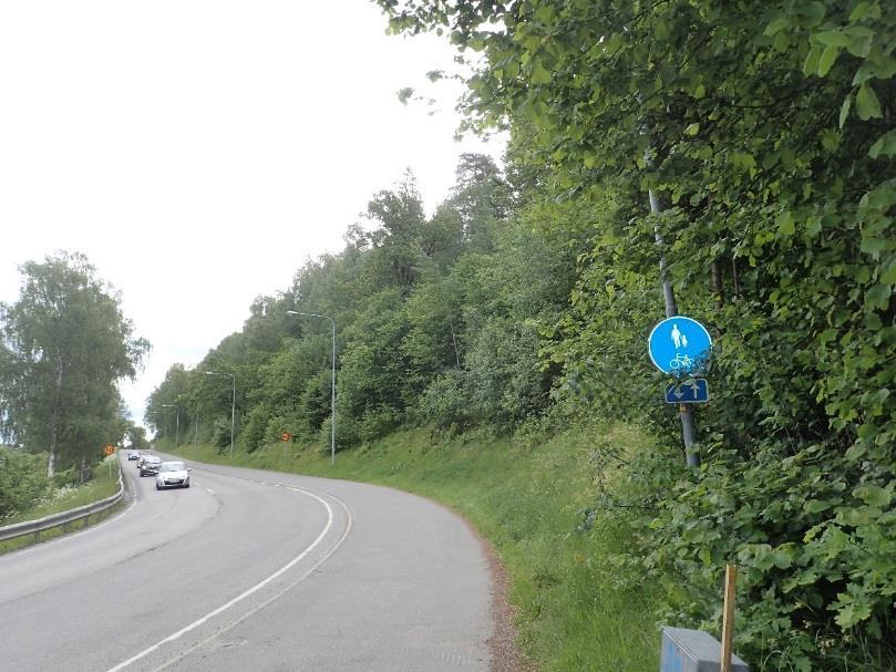 har den angränsande skogen bedömts som blandskog av naturvärdesklass 3 (påtagligt naturvärde). I objektets västra del ligger stora stenblock i slutningen.