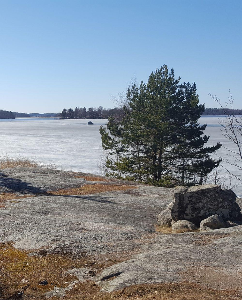 KVICKSUNDS NATUR, REKREATION OCH FRILUFTSLIV Landskap och grönstruktur Grön- och blåstruktur är ett begrepp som används inom planeringssammanhang för att beskriva den helhet som sammankopplade gröna