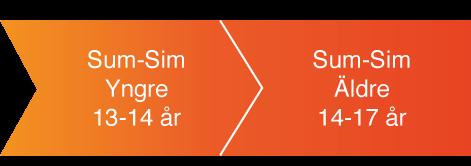 Sum-Sim Träna för att träna Under utvecklingsnivån Sum-Sim är träningen främst inriktad mot uthållighet, vidare teknikutveckling, och tävlingsfärdigheter, i stora drag är tanken att utveckla motorn