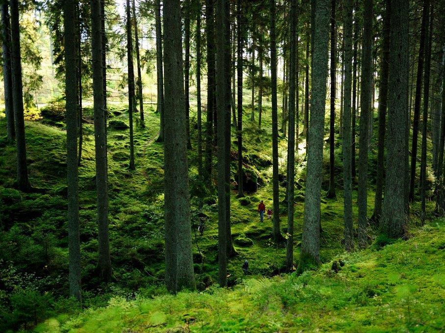 7. Stamsamhälle vi vill ha sammanhang En gång i tiden föddes folk in i en gemenskap och var tvungna