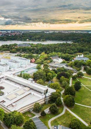 12 Humanvetenskapliga området Humanvetenskapliga området 13 Skapa en attraktivare campusmiljö Åtgärd: Bidra till att etablera Accelerator som en universitetsgemensam miljö för mötet mellan konst och