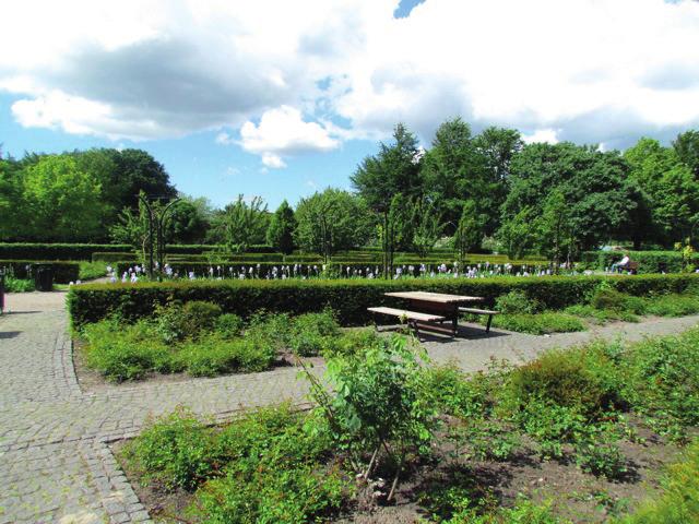 PARTN E RSK APET BAKOM NO RDIC G R EEN SPAC E AWARD N AT I O N E L L A P ROJ E K TA N S VA R I GA Norge: BAD, PARK OG IDRETT Sverige: Föreningen Sveriges Stadsträdgårdsmästare Danmark: Kommunale