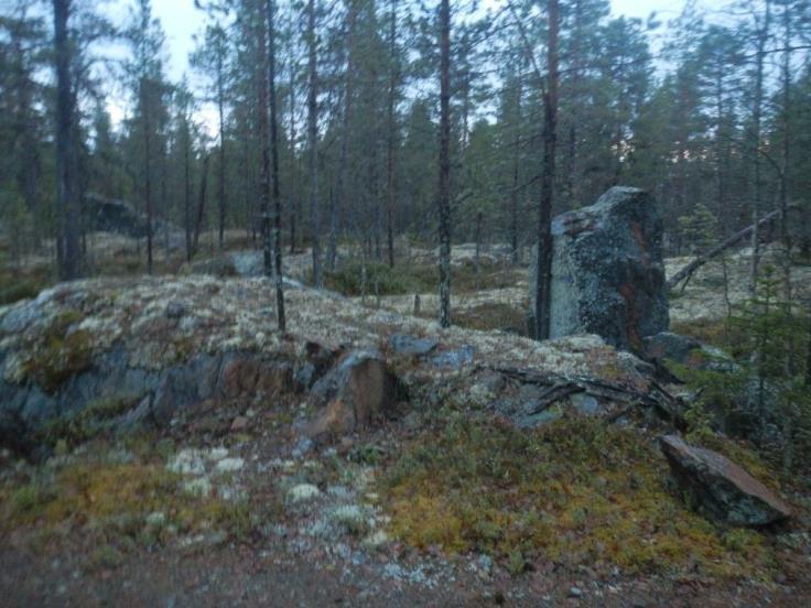 2017-10-17 2015.0035-313 12 (22) planerat triangelspår utgörs jorden av friktionsjord, morän och grus. I markytan vid anslutning till Inlandsbanan utgörs jorden i ytan av sand och grus.