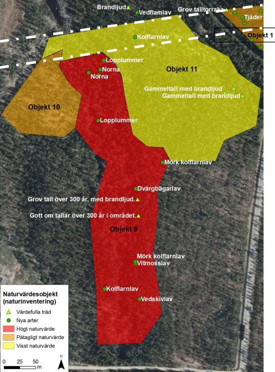 största del av område som har visst naturvärde. Plangränsen ligger strax norr om ett område med högt naturvärde.