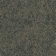 CAMIRA BLAZER