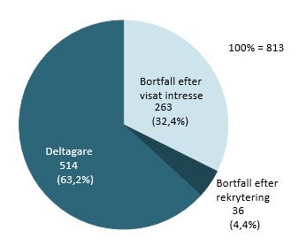 3. Resultatuppföljning av utvecklingsstudien 3.1.