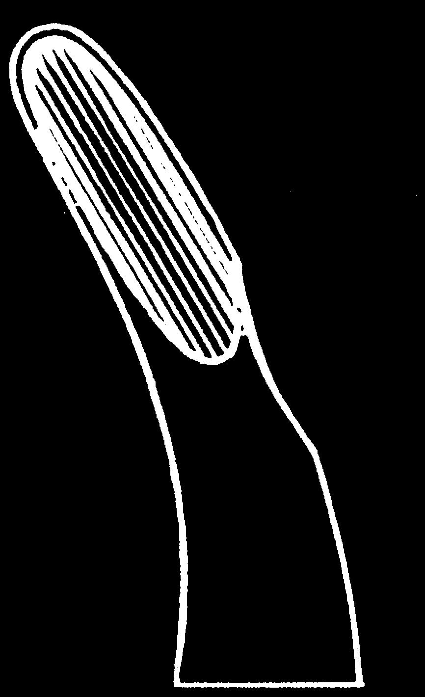 10 cm 17-261-100 15