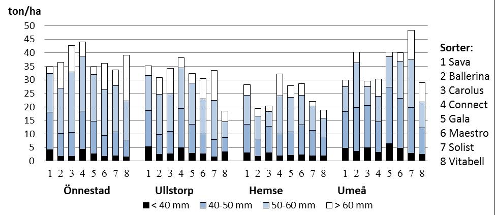 Under 2014 var medelskörden 33 ton per ha ca 5 ton lägre än 2013.