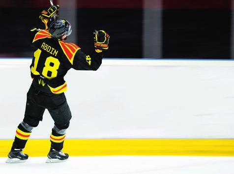 Företagsförsäljning och partnerskap Brynäs IF:s avdelning som arbetar med företagsförsäljning vill tacka alla fantastiska företagare och organisationer som gör det möjligt för oss att spela i SHL och