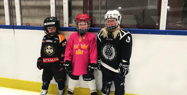 Flicksatsningen i ungdom ska bygga föreningen på sikt Brynäs IF precis som stora delar av svenska damhockey saknar i dag ett juniorlag.