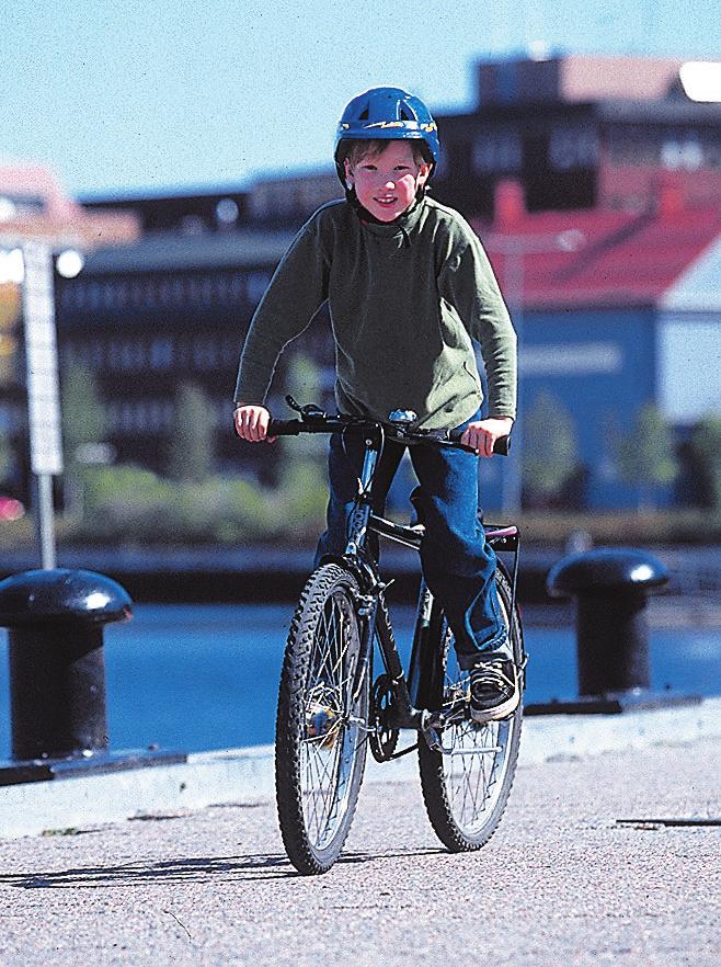 kommuninvånarnas hälsa och säkerhet. I detta ligger att de ansvarar för att det bedrivs ett trafiksäkerhetsarbete inom kommunen.