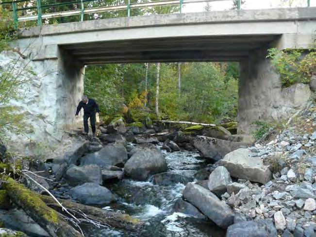 Markeringsplatser För att locka uttrar att använda sig av en faunapassage eller en befintlig dålig bro, d.v.s. en bro som helt saknar naturliga markeringsplatser, kan bra markeringsplatser intill in- och utloppen till bron skapas.