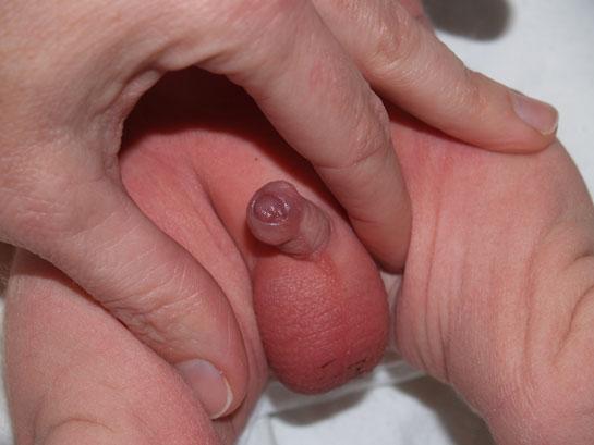 upp crustor i ljummet vatten Ev.