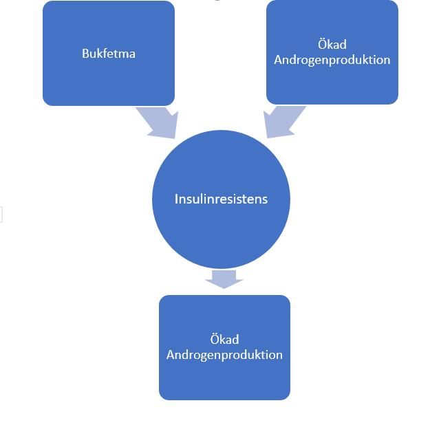 Hyperinsulinemi påverkar äggstockar och binjurar vilket gör att dessa organ kan öka produktionen av androgener.