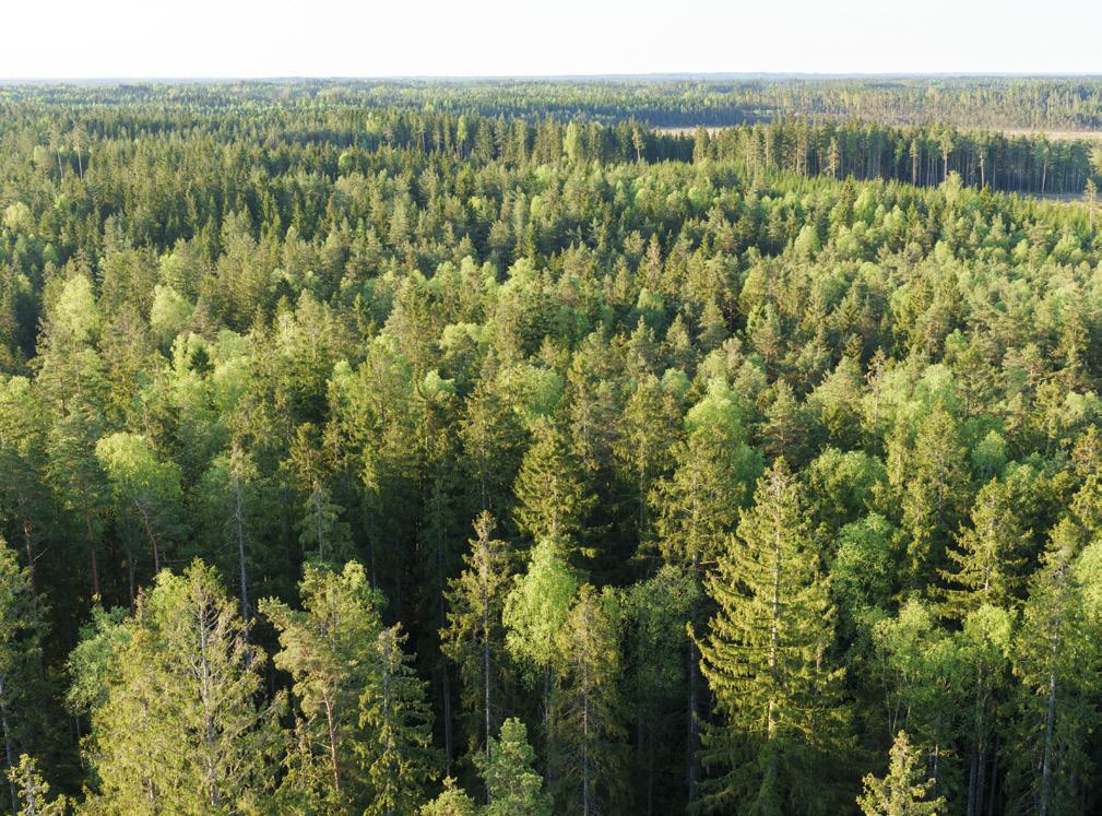 Varumärket ZENSE för exklusiva utegolv innehas av Välinge Innovation AB och all användning sker under licensiering. En del av ett äkta, hållbart kretslopp Trä är fantastiskt.