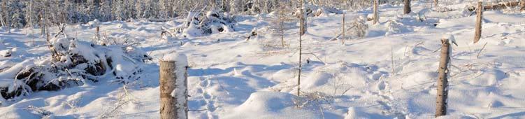 hänsynsobjekt (kantzoner, trädsamlingar, sumpskogar): 16,7 ha 2,65 ha Andel sparad areal 16 % Ej