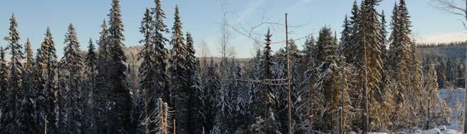 Källmyrvägen Kantzoner mot bäck och myr (måttliga-höga naturvärden).