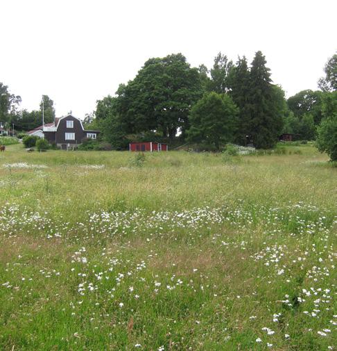 Parasiterande vedsvampar har angripit främst träd med skadade rötter till följd av intensivt hästbete. Äldre askar har dött och tagits ner troligen till följd av trampet från hästar.