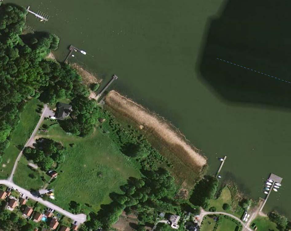 1 2 3 Figur 1. Vita och blå streck visar biotopernas utbredning längs stranden vid Tappsund.