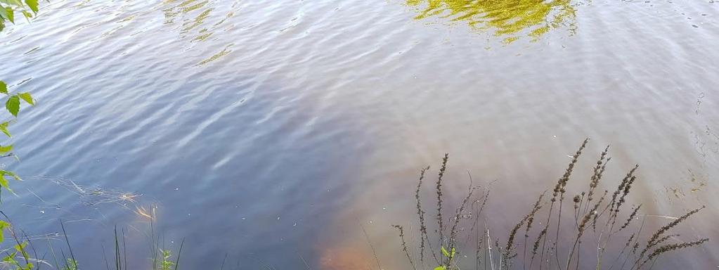Bild 16