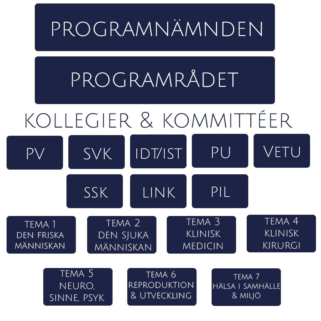 Din insats är värdefull för både lärare och studenter, tack!