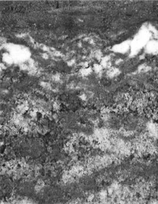 Anhydrit noduler 0 cm 5 cm West et al.