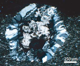 Pseudomorfer av ikait (?