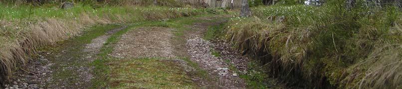 Någon maximal storlek per byggnad regleras inte utöver maximalt antal våningar; två våningar plus suterrängvåning. Nya byggnader bör målas i en färgskala mellan brunsvart, grått och falurött.