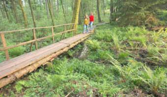Baumholder - 14 - Ausgabe 14/2019 Informationen Tourist-Information des Birkenfelder Landes Geführte Radtour auf der RadLust-Schleife WasserTräume am Samstag dem 27. April 2019, 14.