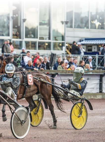 000 kr INVADER AM hingst Muscle Hill-Vladzia Mauzun 1.200.000 kr MÅNSKENSKAVALJEREN hingst Ready Cash-Dyhim Boko 1.100.000 kr ALL IN SOX hingst Ready Cash-Dicey Spicey 1.000.000 kr LUCA VIALLI BOKO hingst Ready Cash-Giudy Stra 1.