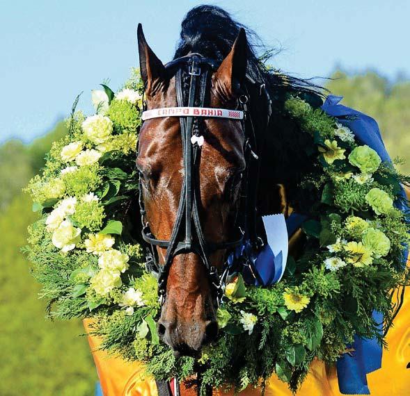 MINST 150.000 KR I FÖRSTA! ANMÄL DIN STARTHÄST TILL MIXED SALE PÅ ÅBY ARENA Alla starthästar som anmäls till Mixed Sale 11 oktober vill vi premiera med ett eget lopp på Åbytravet med minst 150.