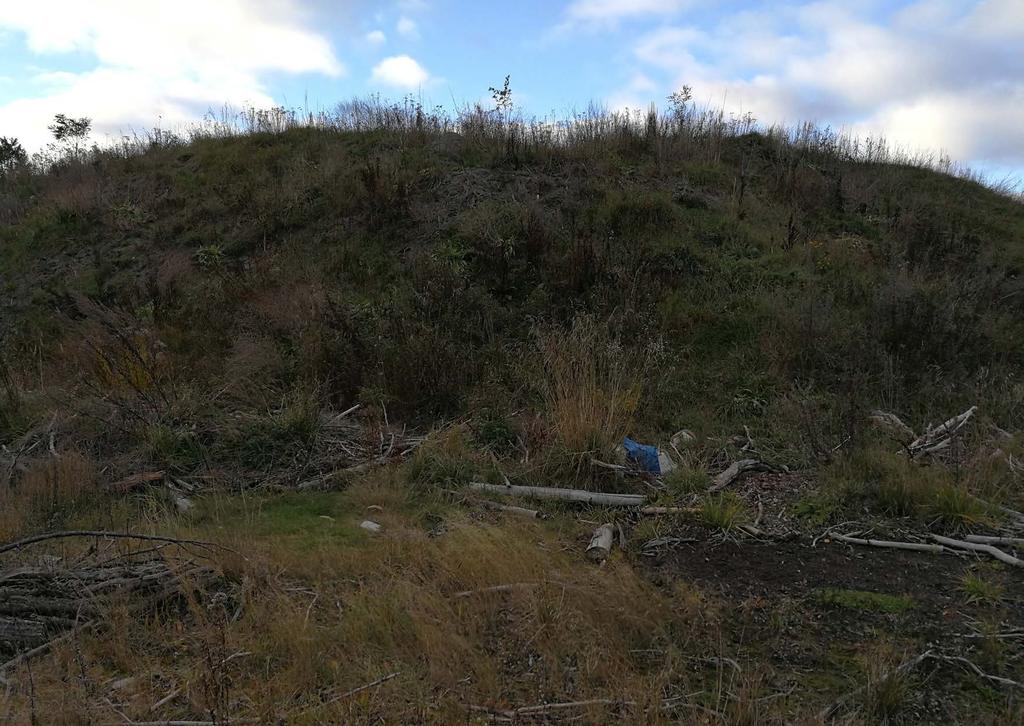 Botippens omvandling över tid skapar en känsla av respekt för naturen och kanske skuld till vår historia.