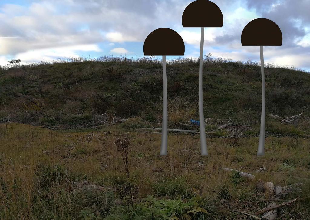 KONCEPTIDÉ Naturstråket som går över backen möter stråket som går runt på norra sidan. Där bildas en Y-korsning.